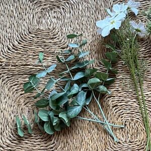 Artificial Eucalyptus and Cosmos Stems from Hearth & Hand